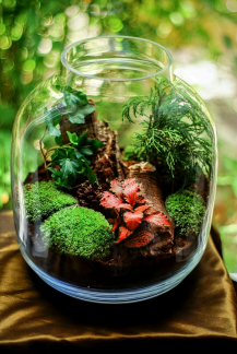 Create your own garden in a jar with this terrarium workshop.