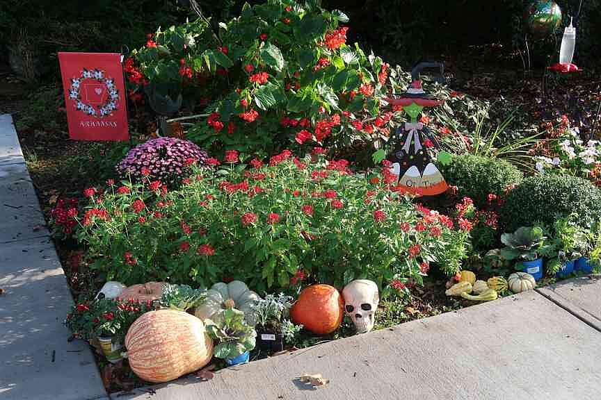 BREAKING GROUND: Keep spring-blooming plants watered for best results | The Arkansas Democrat-Gazette BREAKING GROUND: Keep spring-blooming plants watered for best results | The Arkansas Democrat-Gazette