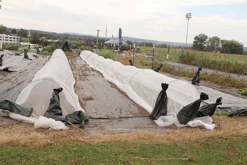Lynn Kutter/Enterprise-Leader These plants at Windmill Gardens outside Prairie Grove have been covered for protection from the elements.