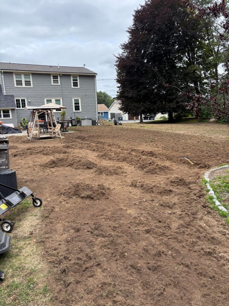 (Update) Lawn overhaul – MA (Update) Lawn overhaul - MA