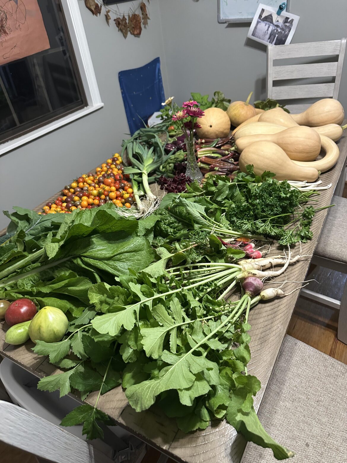 The variety in a fall harvest is unreal. The variety in a fall harvest is unreal.