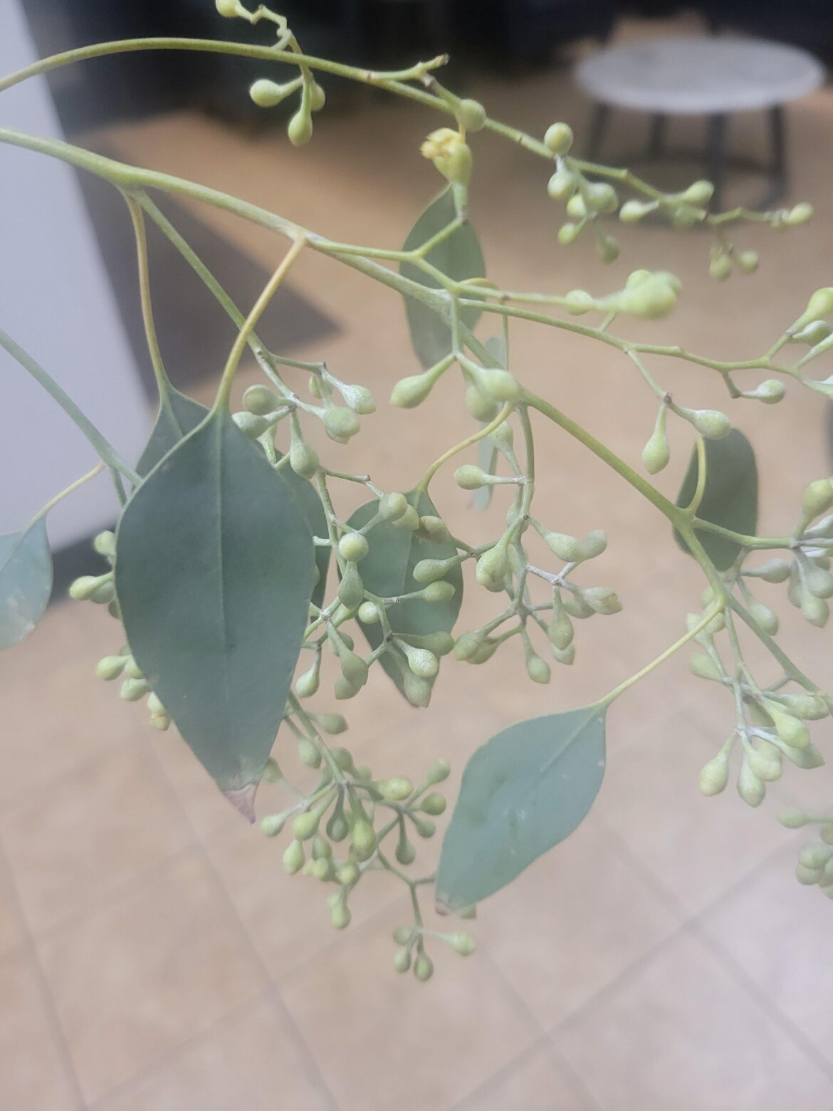 Someone dropped this from a bouquet of flowers