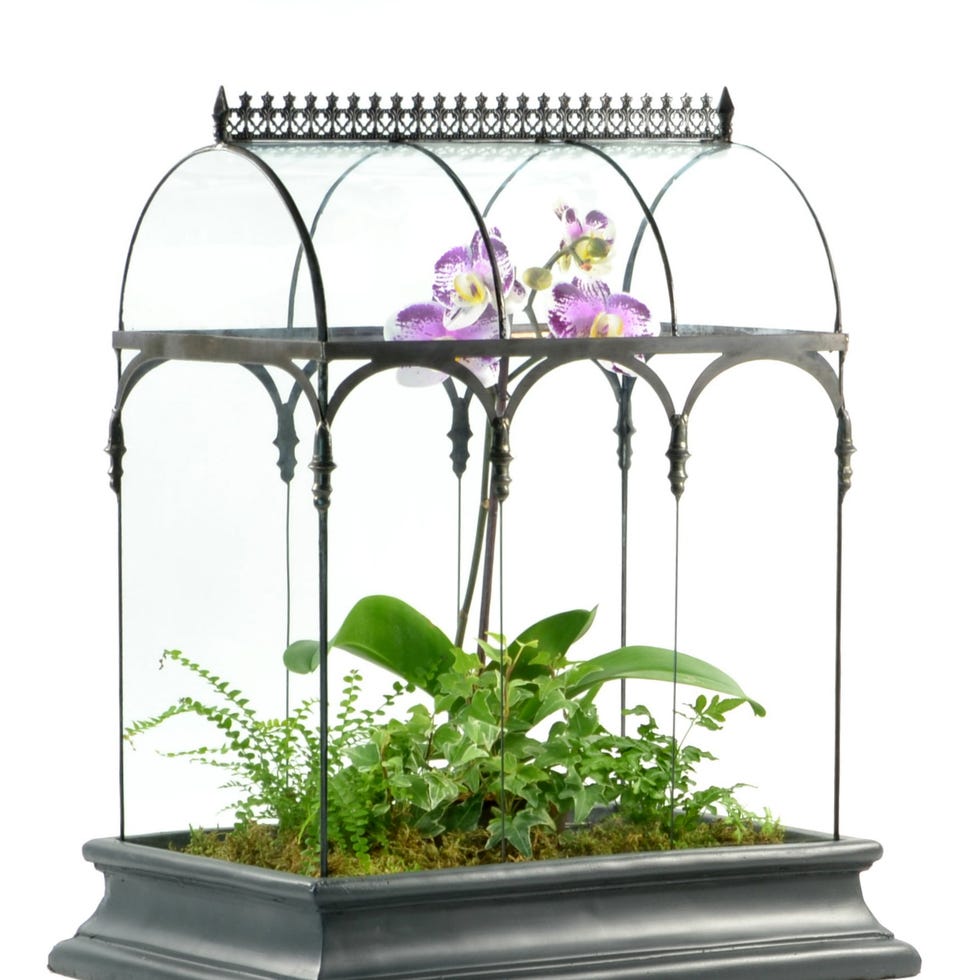 Terrarium Barrel Vault Wardian Case for sale