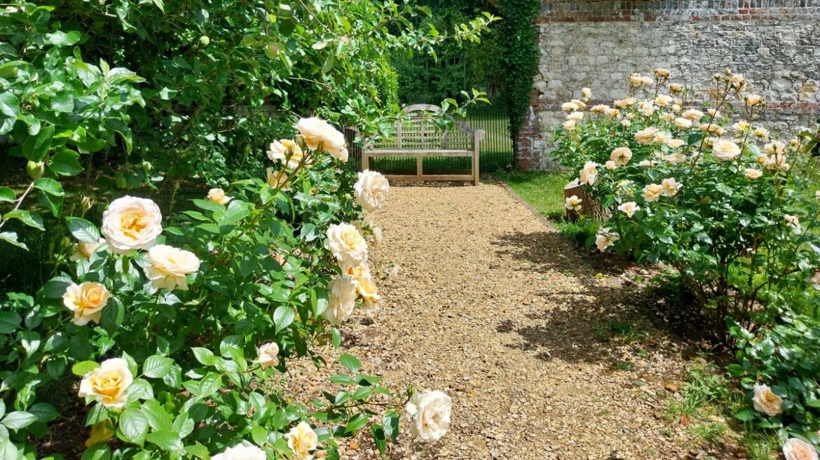 Why everyone should visit Jane Austen’s garden Why everyone should visit Jane Austen’s garden