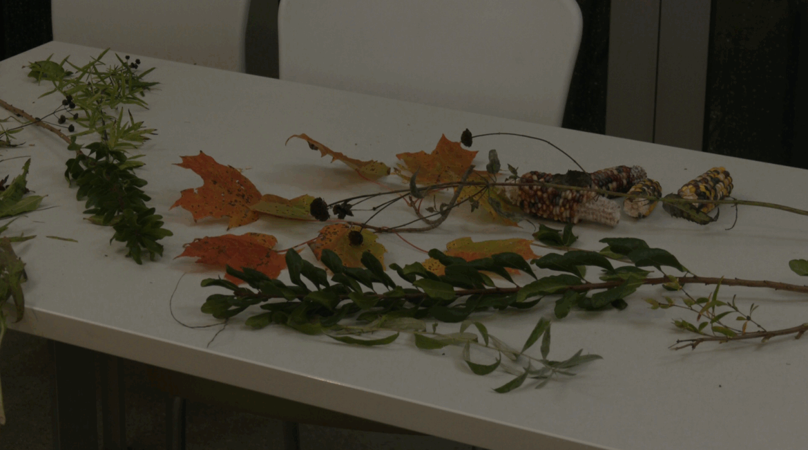Anishinaabe gardeners revive ancient crops at Historic Barns Park – 9&10 News 910news Logo
