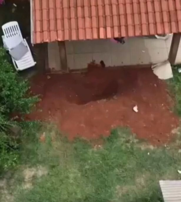 Alex Sandro da Silva Rocha