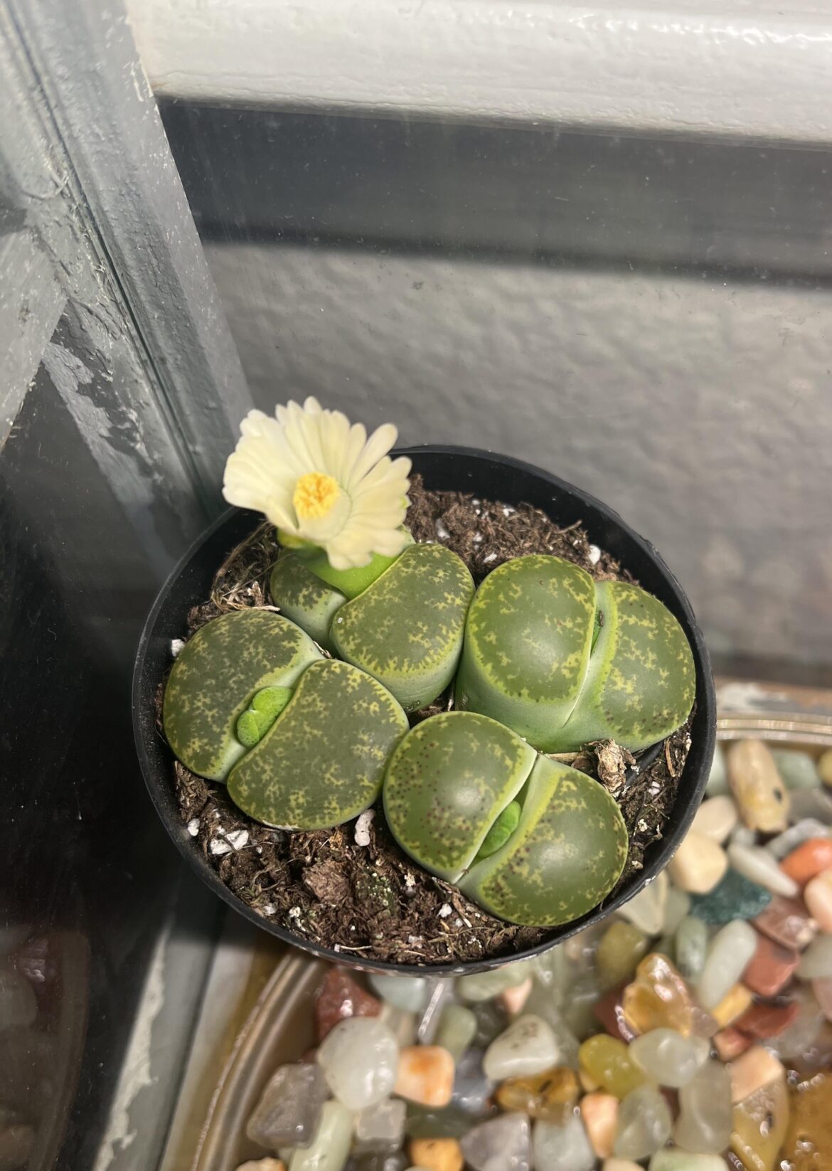 How did I get so lucky π How did I get so lucky π