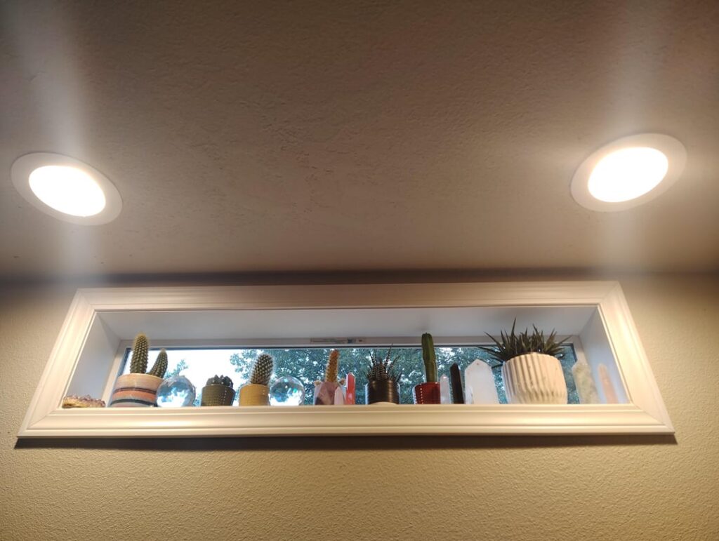 My Indoor Garden