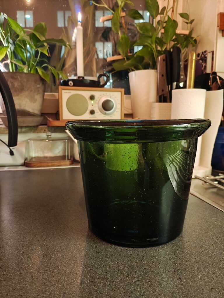 Bought a glass pot! Not sure what to put in it.