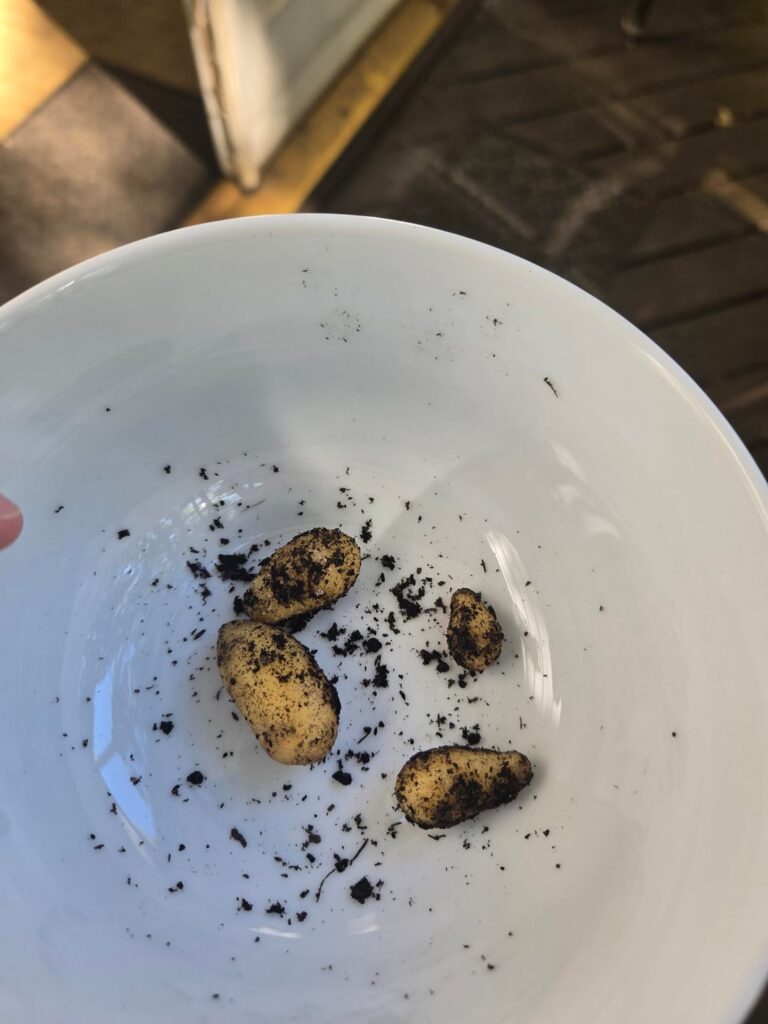 What did I do wrong? What did I do wrong?