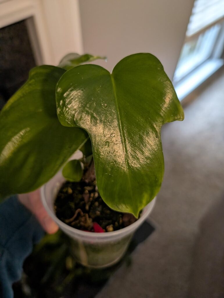 What do we think this is? Was not labeled