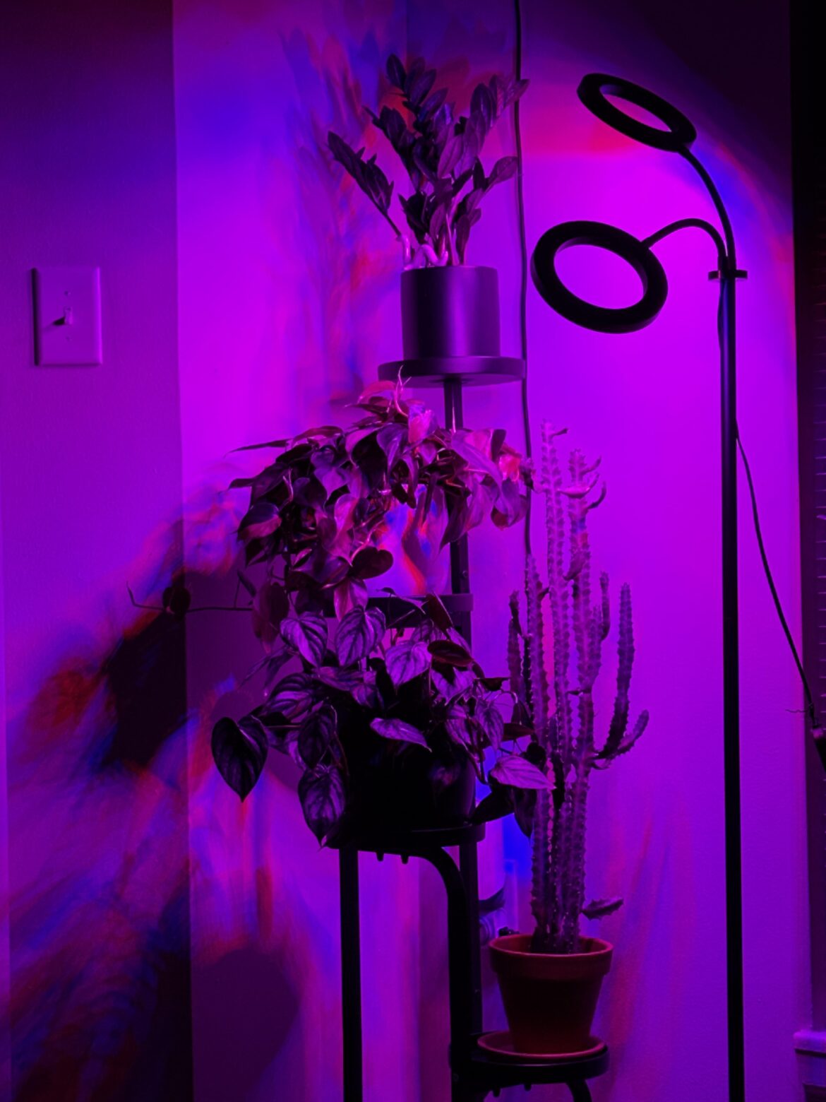 Are these night-time grow lights even doing anything for my plants? Are these night-time grow lights even doing anything for my plants?