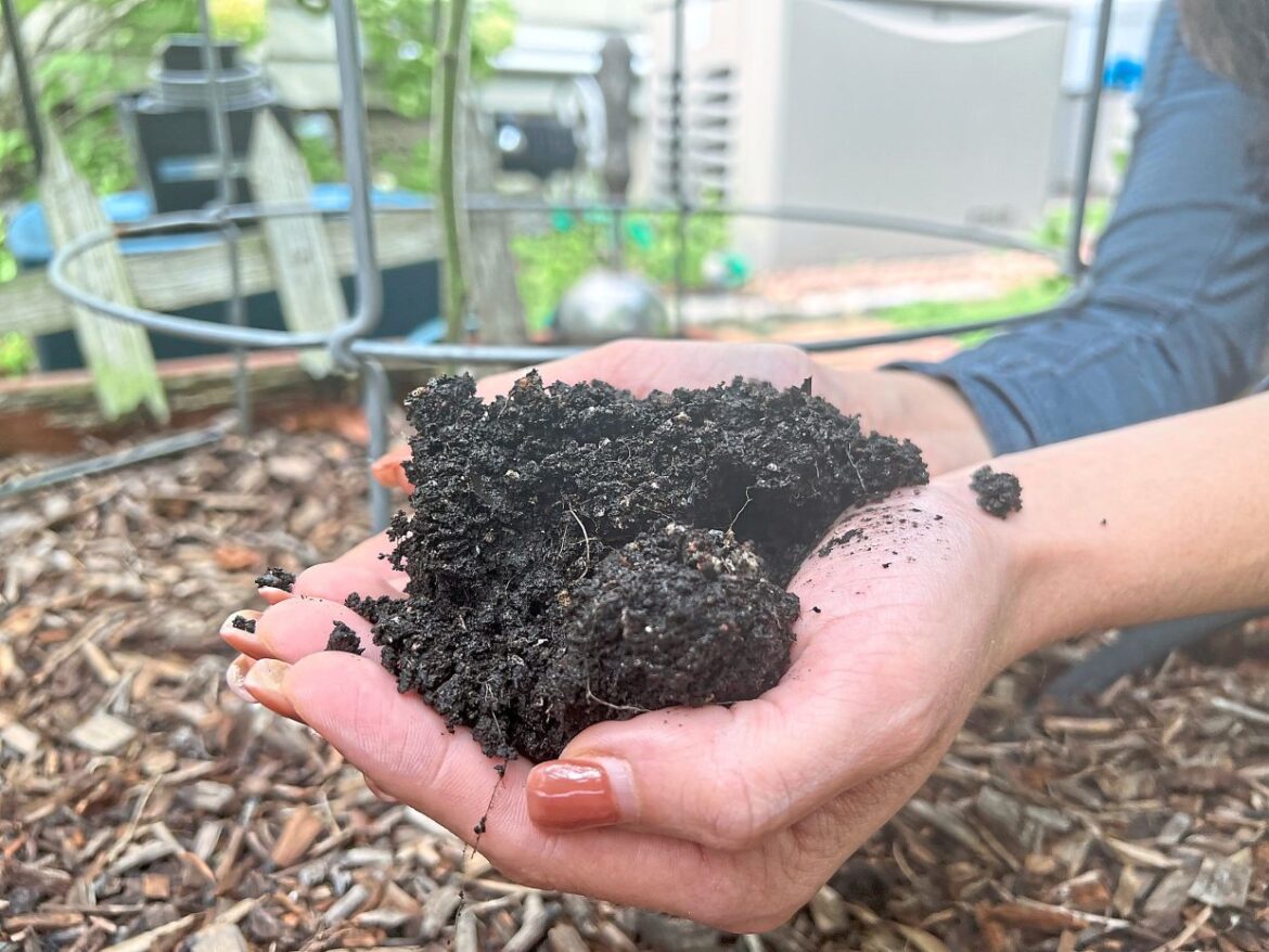 Gardening’s hidden benefits: Digging in the dirt could bolster mental wellbeing Gardening’s hidden benefits: Digging in the dirt could bolster mental wellbeing