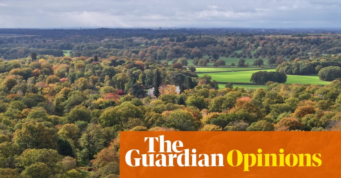 Digested week: At least poor old Andrew’s still a prince – and has his garden | Emma Brockes Digested week: At least poor old Andrew’s still a prince – and has his garden | Emma Brockes