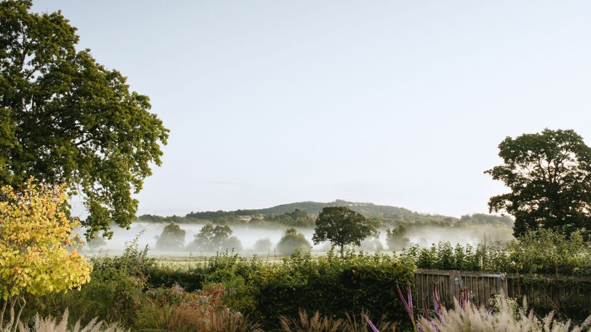 A guide to garden boundaries A guide to garden boundaries
