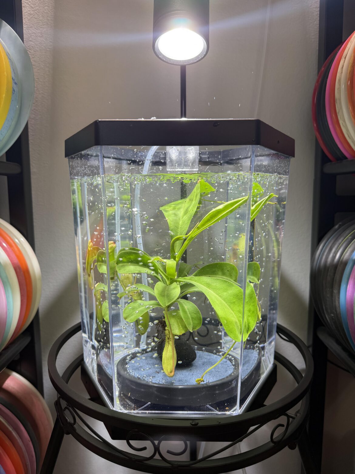 Ok SavageGarden I took it one step further…