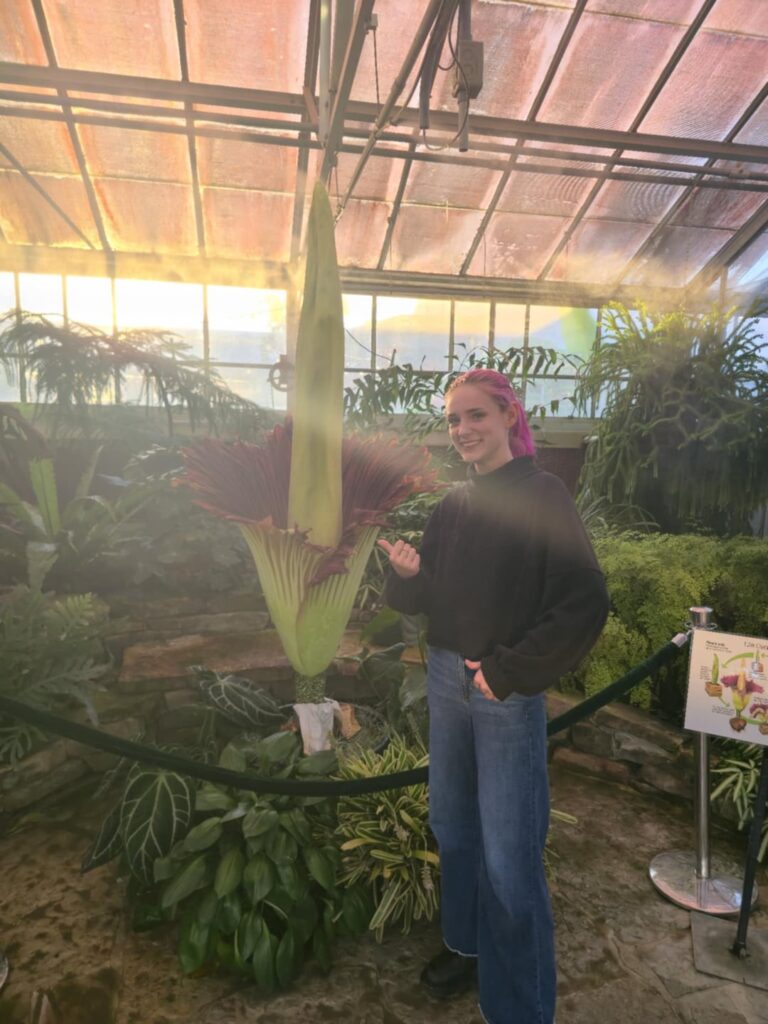 Cadavera - UNCC Corpse flower bloom!