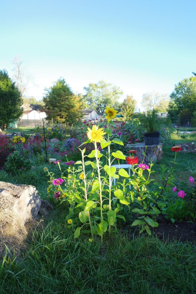 Morning light Ohio 6a
