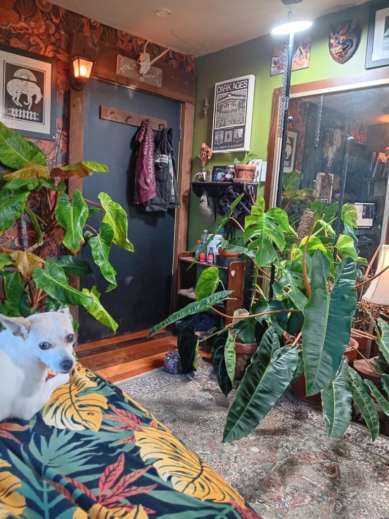 Brought things in for winter.