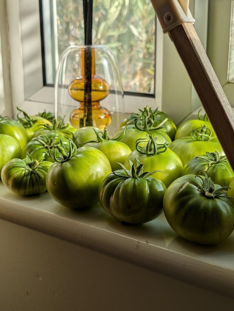 Fruits of my labor