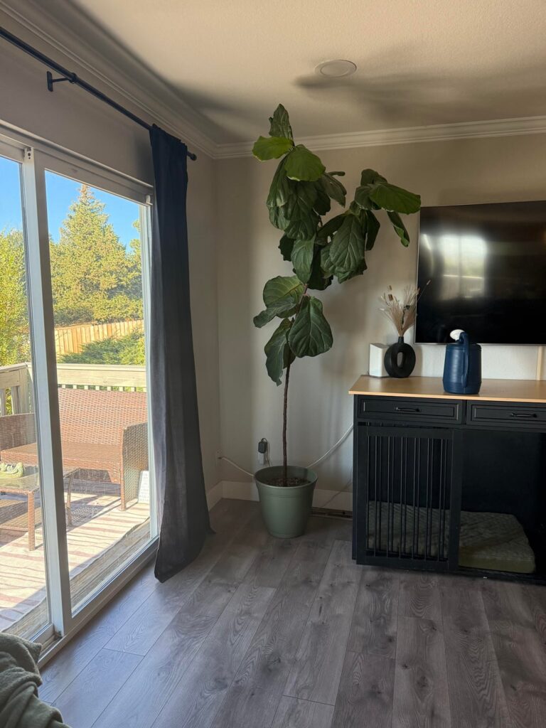FLF branching on its own? FLF branching on its own?