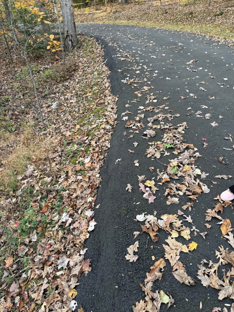 How to improve steep driveway shoulder on a hill?