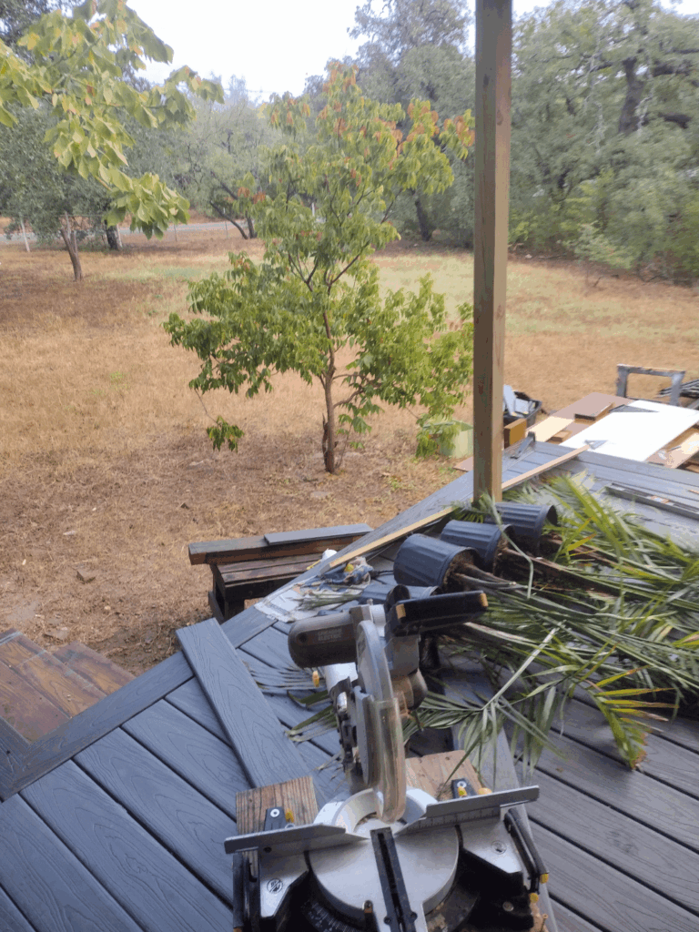 Help pick deck plants Help pick deck plants