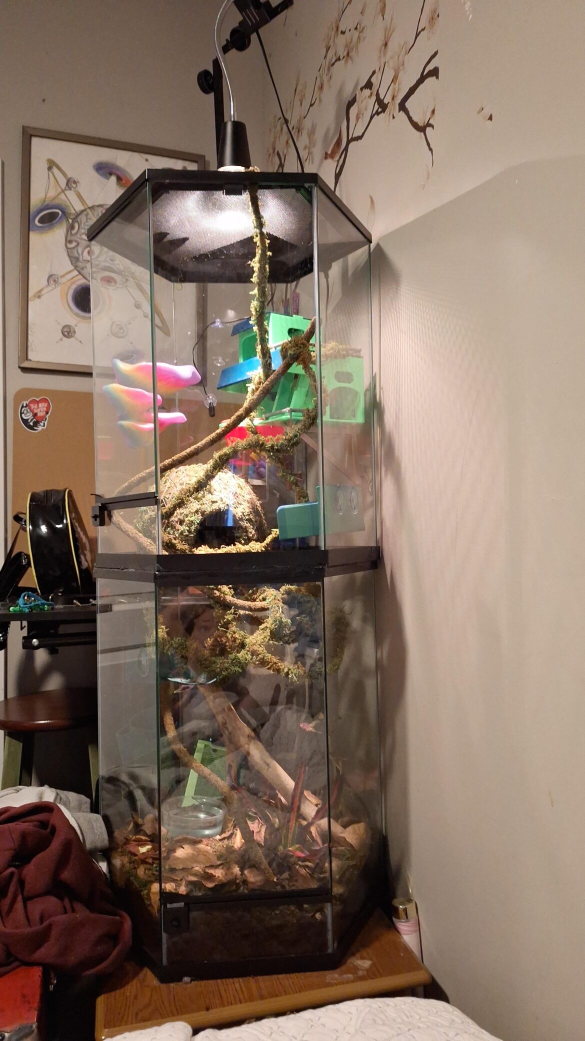 Tank upgrade!! Tank upgrade!!