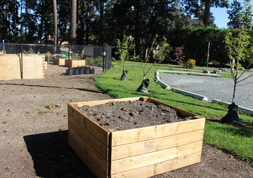 food growing box, porcher park