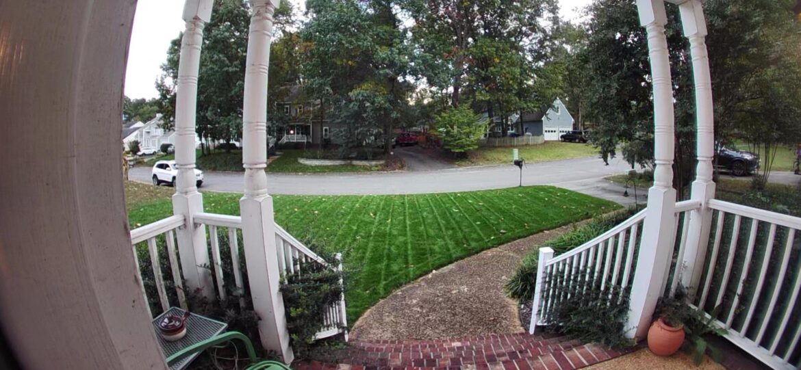 I hope this hybrid KBG pans out and survives the transition zone because this color is beautiful