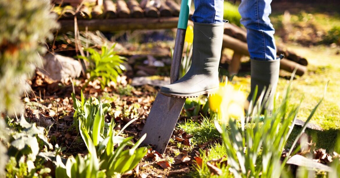The Old Farmers' Almanac offers tips to protect fall gardens from rain