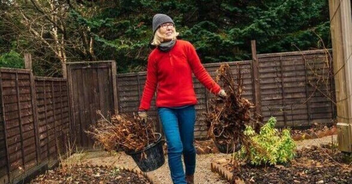 Gardeners warned to avoid 3 things to protect ‘vulnerable’ species Gardeners warned to avoid 3 things to protect 'vulnerable' species