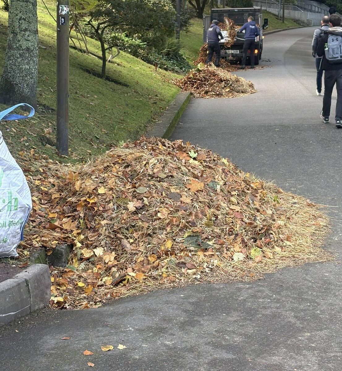 When leaves pile up on roads, driveways, or in gutters, they become a genuine environmental headache. Rainwater leaches nutrients from decomposing leaves, washing them into drains and rivers. That can fuel algal blooms, suffocate aquatic life, and degrade water quality