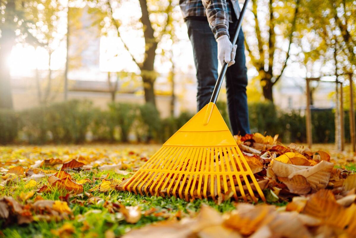 Rake or sweep leaves off hard surfaces and away from drains, but leave a layer beneath trees, hedges, and in flowerbeds where they’ll do good