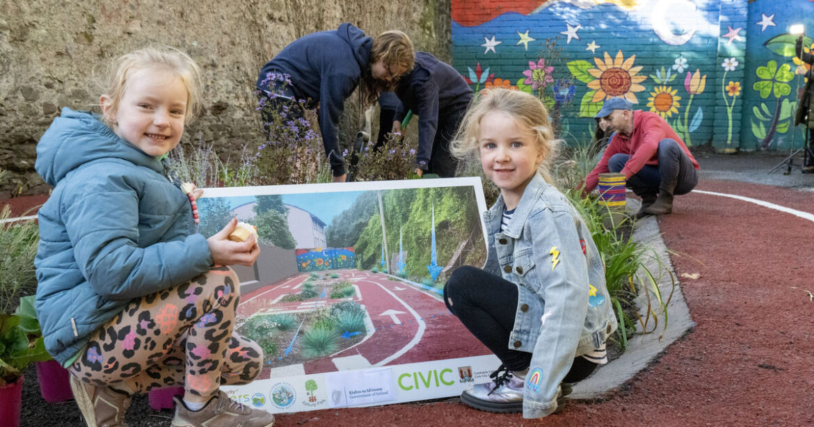 Planting of rain gardens at Cork Railway Park hailed as an example to others