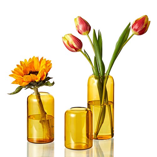 Zens Glass Bud Vase Set of 3, Hand Blown Small Amber Bud Vases for Flower Decorative, Modern Cylinder Clear Glass Vase for Wedding,living Room Home Décor