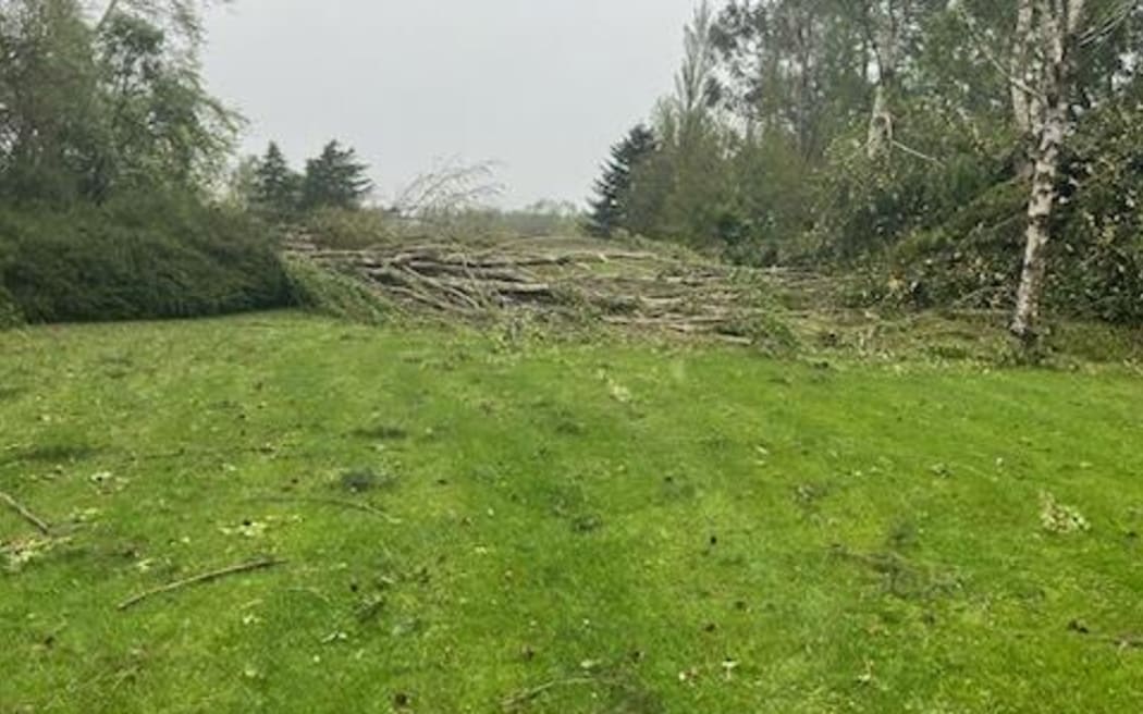 Established trees have been ripped from the ground at an internationally recognised garden by fierce winds in North Canterbury.