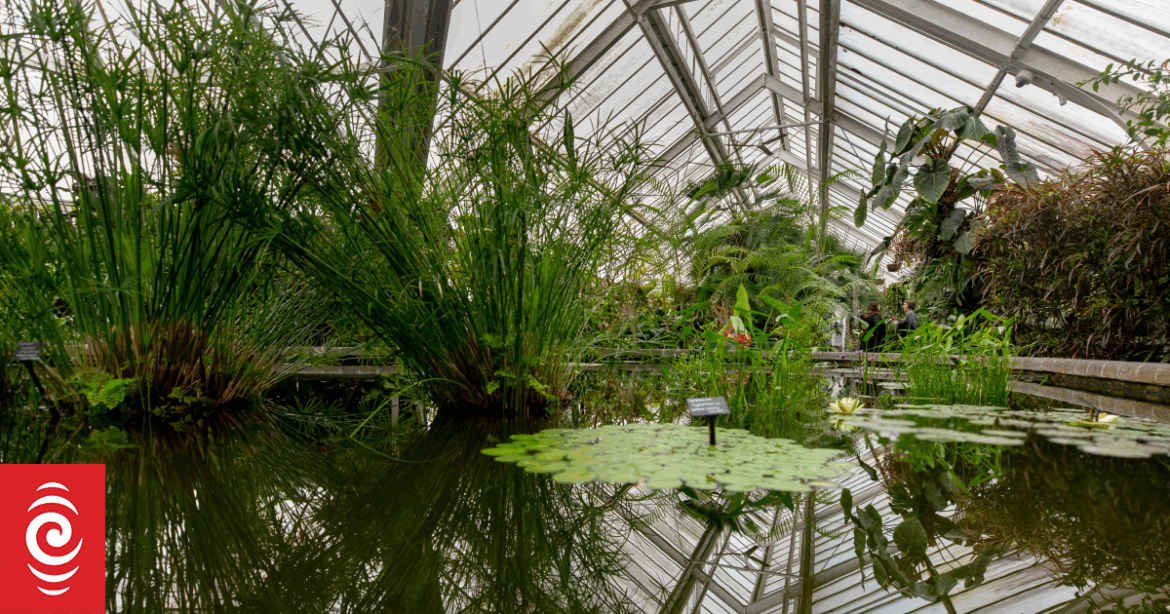 Restoration of Wellington’s Begonia House to start next month Restoration of Wellington's Begonia House to start next month
