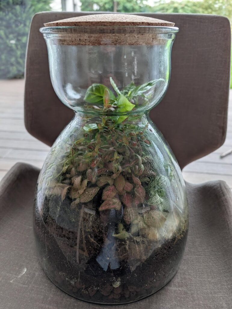 11 months - too much water?