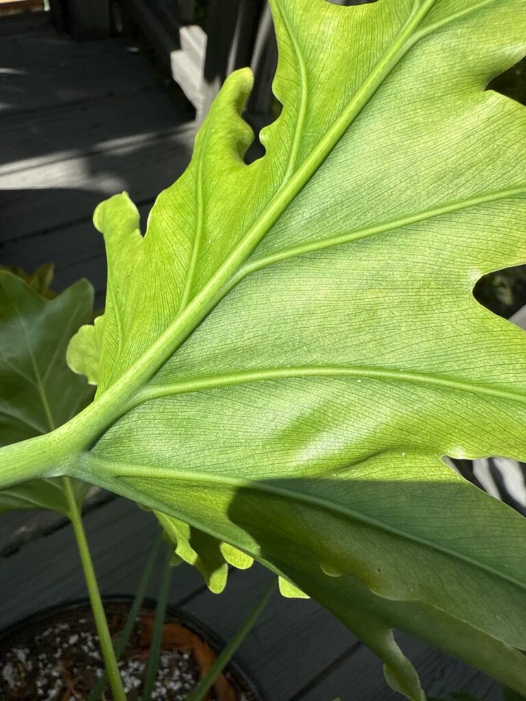 Y’all help what the f