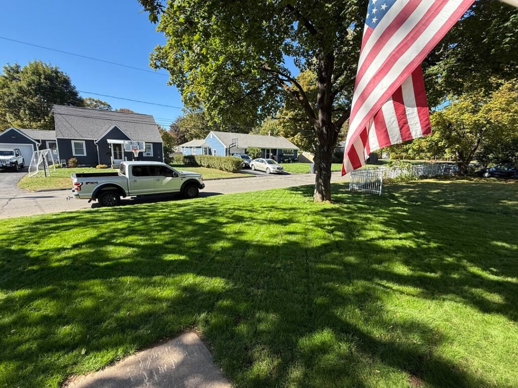 Complete lawn renovation 1 month after seeding CT/MA
