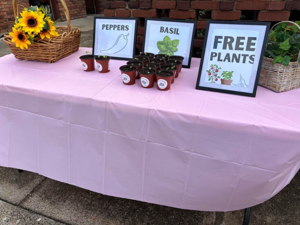 My community plant project 🌿 My community plant project 🌿