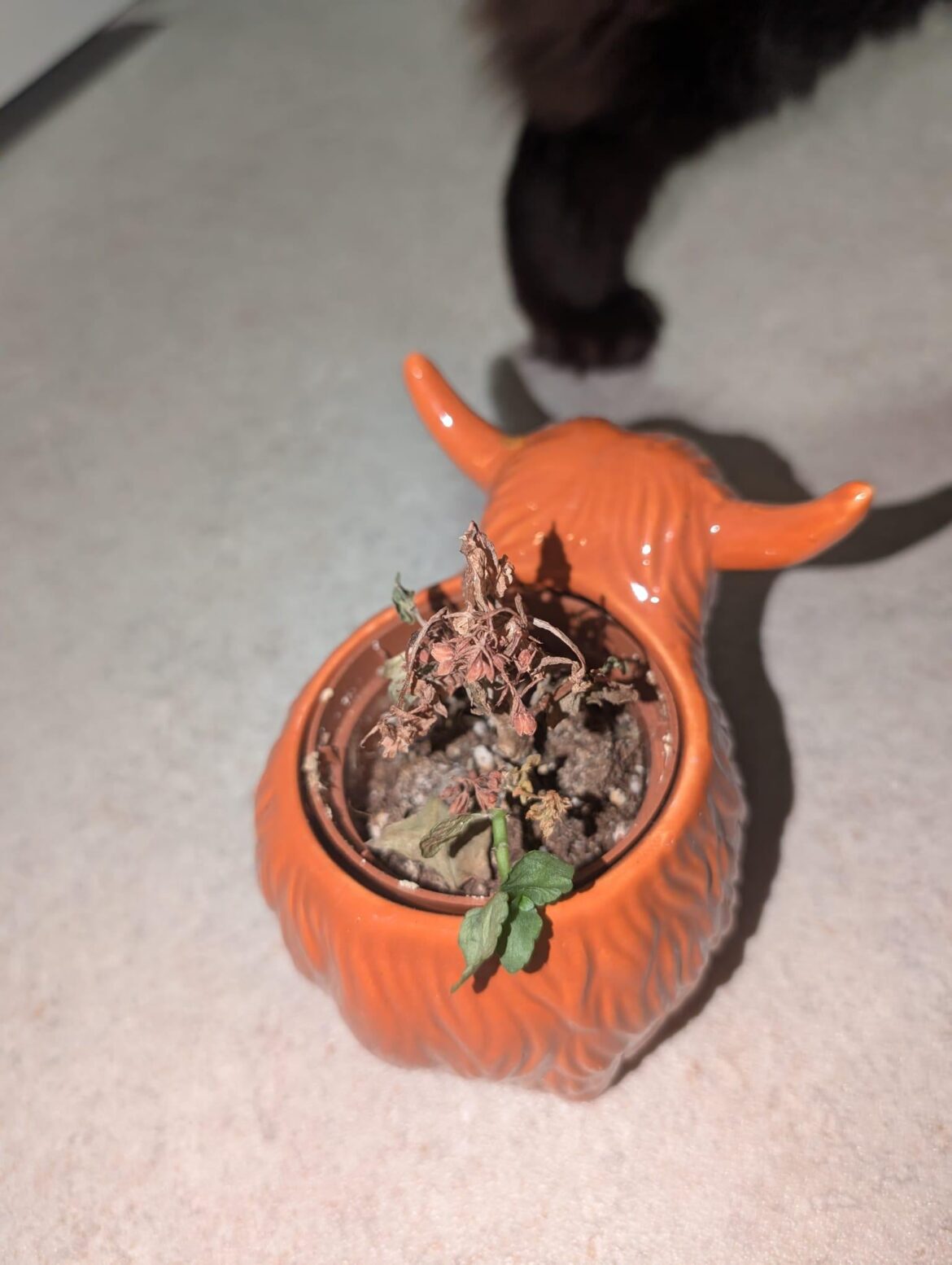 If there's green there's life... right? (plz help)