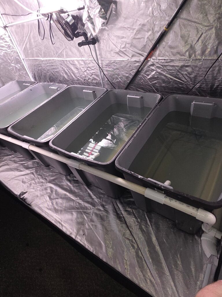 Rdwc system doesn't seem to recirculate. And other issues.