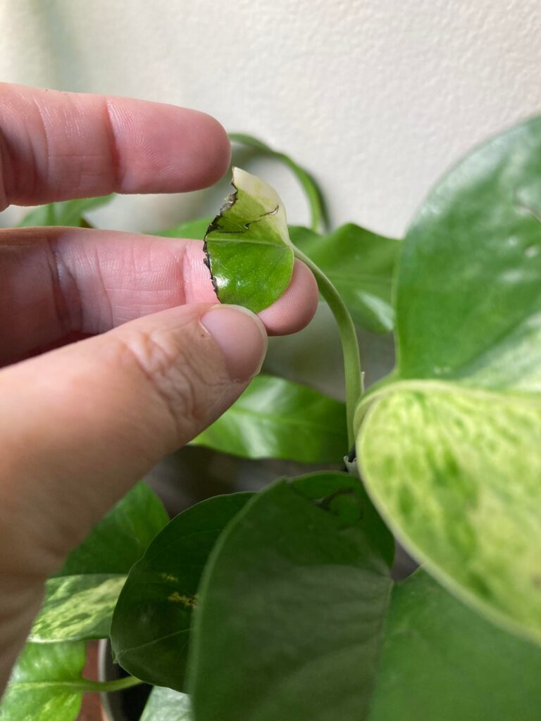 Who is guilty?!? 😡😤🤬