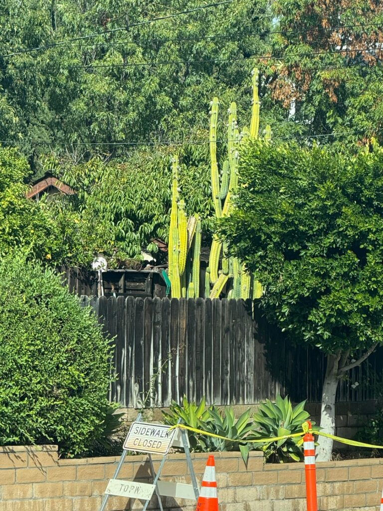 The view from the kids’ pick up line this afternoon.
