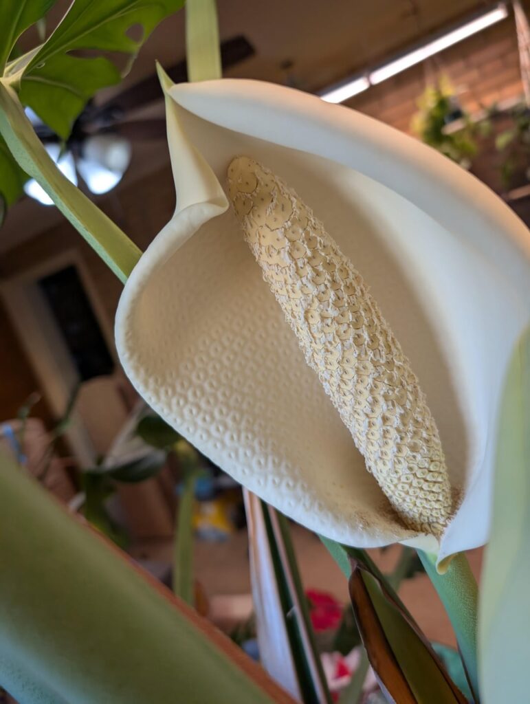 Can't belive I did it in Ohio