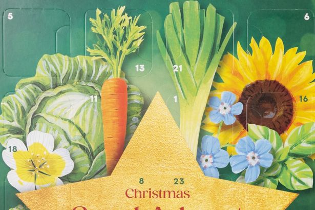 The by Sainsbury's Seed Advent Calander
