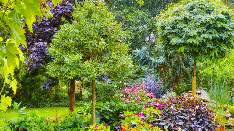 The Two Types Of Perennials Every Gardener Needs To Know House Digest