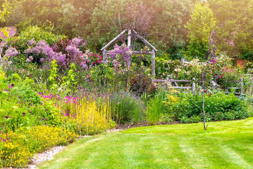 garden on a sunny day with plants